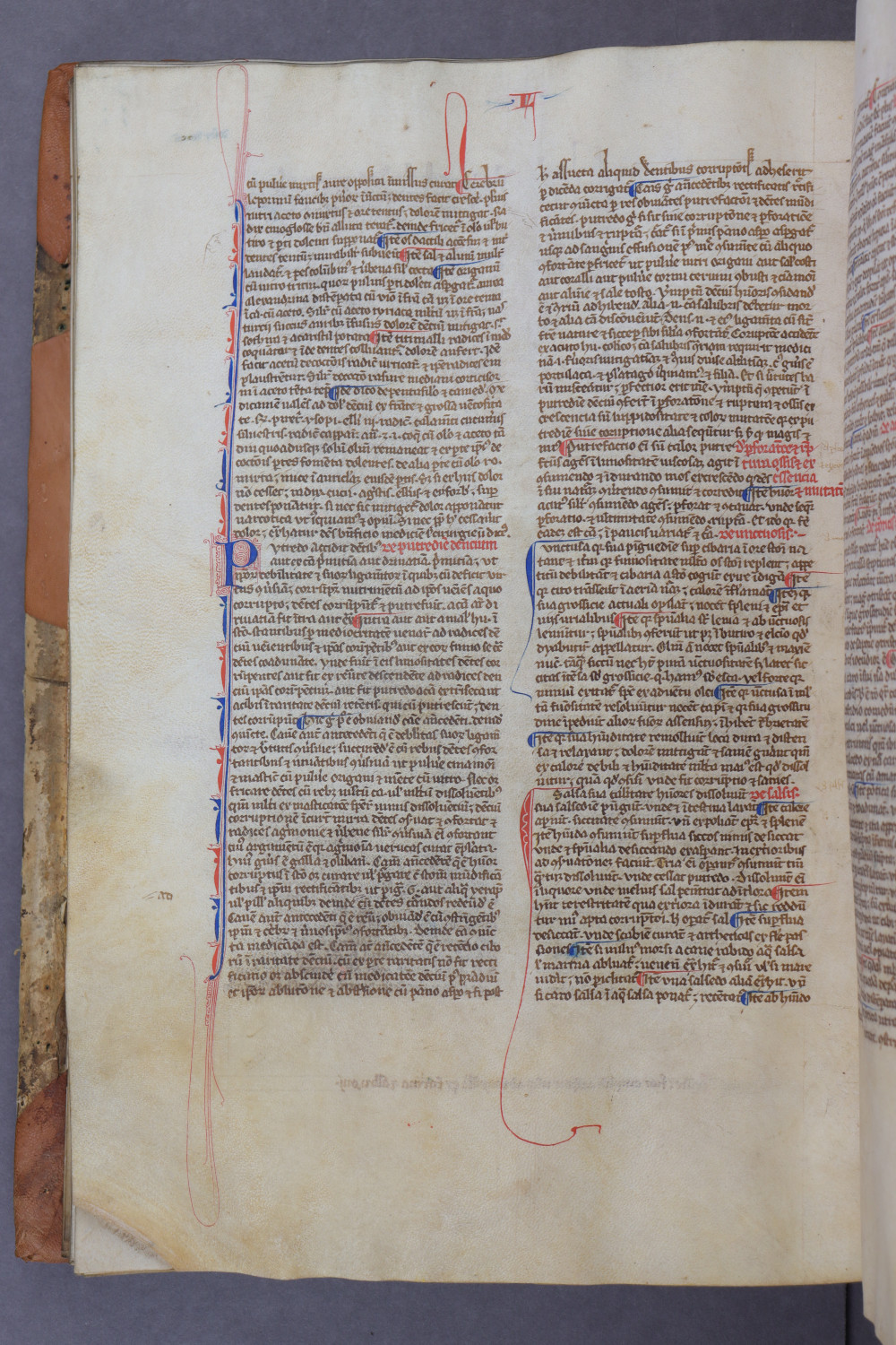 Folio 74 verso